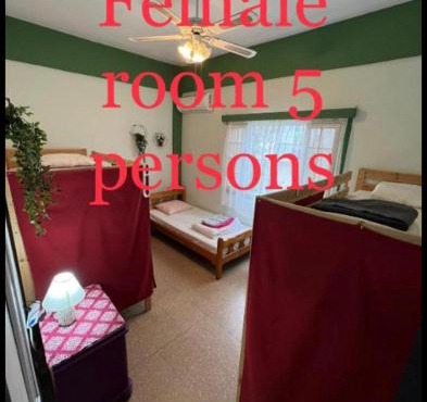 Past or Tail hostel